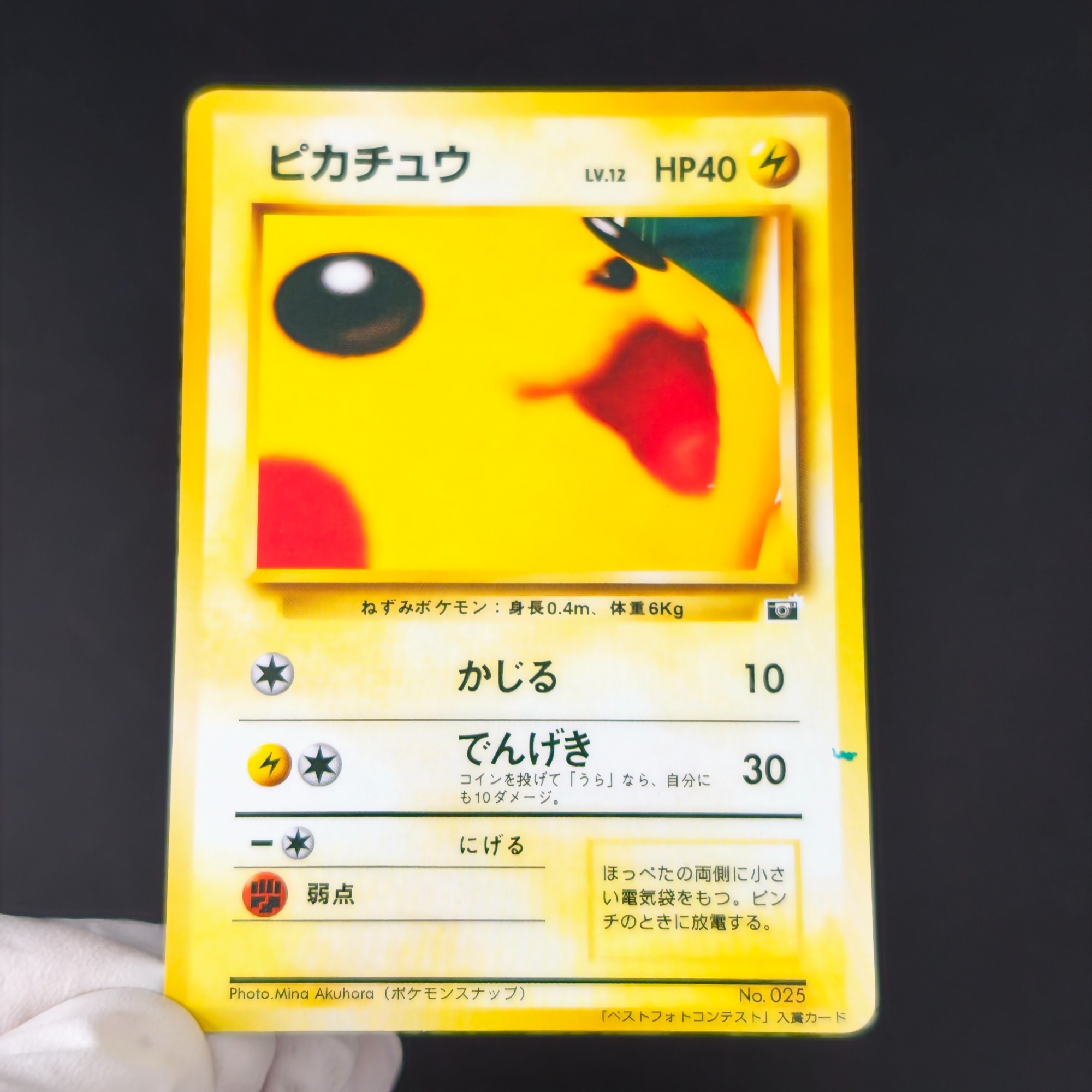 10PCS 포켓몬 빈티지 보이 벌바사우르스 샤르마nde - Retro Gaming Pokemon 리뷰 및 가격